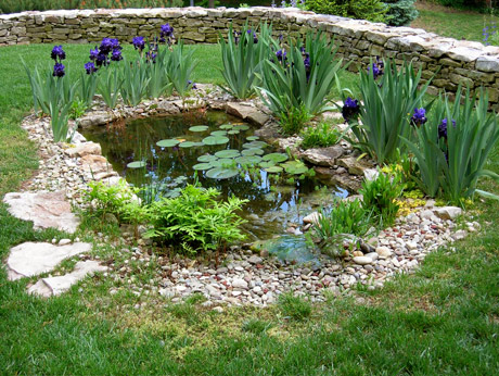 Slideshow Image 6